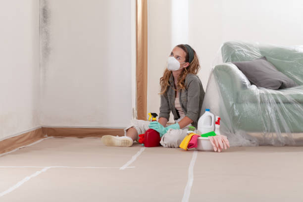 Reliable Mold Removal contractor in Burtonsville, MD by Mold Remediation HQ